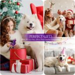 Frienhund Tough Dog Toys for Aggressive Chewers 3 Pack, Indestructible Dog Toys ... - Image 7