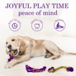 Frienhund Tough Dog Toys for Aggressive Chewers 3 Pack, Indestructible Dog Toys ... - Image 8