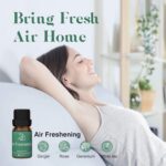 ASAKUKI Essential Oils, Essential Oil for Diffusers for Home, Well-Being Kit Gif... - Image 4