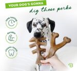 Benebone 2-pack Fishbone/Wishbone Durable Dog Chew Toys, Real Fish, Real Bacon, ... - Image 4