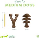 Benebone 2-pack Fishbone/Wishbone Durable Dog Chew Toys, Real Fish, Real Bacon, ... - Image 5