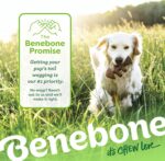 Benebone 2-pack Fishbone/Wishbone Durable Dog Chew Toys, Real Fish, Real Bacon, ... - Image 7