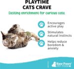 Raw Paws Catnip Balls for Cats, (6-Count) - Interactive Cat Toy for Indoor Cats ... - Image 3