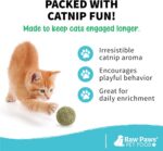 Raw Paws Catnip Balls for Cats, (6-Count) - Interactive Cat Toy for Indoor Cats ... - Image 4