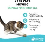 Raw Paws Catnip Balls for Cats, (6-Count) - Interactive Cat Toy for Indoor Cats ... - Image 5