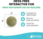 Raw Paws Catnip Balls for Cats, (6-Count) - Interactive Cat Toy for Indoor Cats ... - Image 6