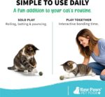 Raw Paws Catnip Balls for Cats, (6-Count) - Interactive Cat Toy for Indoor Cats ... - Image 7
