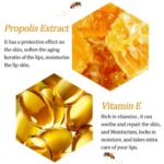 2 PCS Bee Lip Balm Lip Mask Honey Pot, Honey & Strawberry Lip Mask Propolis Mois... - Image 9
