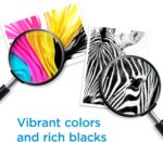 HP 64XL Black and 64XL Tri-Color Ink Cartridge 2 Pack for Printers | Works with ... - Image 4