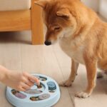 DR CATCH Dog Puzzle,Dogs Food Toys for IQ Training & Mental Enrichment,Dog Treat... - Image 6