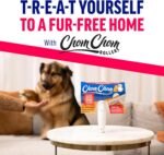 ChomChom Roller & Rake – Reusable Pet Hair Removal Roller with Rake Attachment f... - Image 8