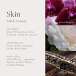 CLEAN CLASSIC Fragrance Discovery Gift Set, Travel Mini Size, Layerable Perfume ... - Image 5