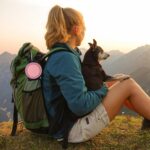 SLSON Collapsible Dog Dual Bowls Reinforced Rim 180 Degrees Flip Over Foldable D... - Image 7