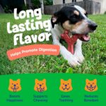 Chew'ems Durable Chew Toys for Small Dogs | Safe, Long-Lasting & Flavorful Chew ... - Image 5