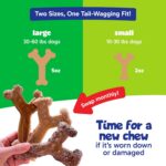 Chew'ems Durable Chew Toys for Small Dogs | Safe, Long-Lasting & Flavorful Chew ... - Image 6