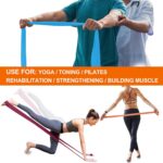 A AZURELIFE Resistance Bands,Professional Long Non-Latex Elastic Stretch Bands,E... - Image 8