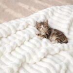 Bedsure GentleSoft White Throw Blanket for Couch - Graduation Gifts Teacher Birt... - Image 9
