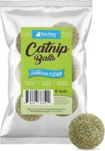 Raw Paws Catnip Balls for Cats, (6-Count) - Interactive Cat Toy for Indoor Cats ... - Image 2
