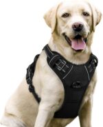 rabbitgoo Dog Harness No Pull with 2 Leash Clips, Adjustable Soft Padded, Reflec... - Image 2