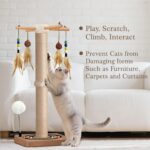 PAROTO Cat Scratching Post, Sisal Cat Tree Tower Scratcher for Indoor Cats Adult... - Image 5