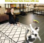 MeoHui Cat Toys for Indoor Cats, Interactive Cat Toy 2PCS Retractable Wand Toy a... - Image 8