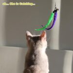 MeoHui Cat Toys for Indoor Cats, Interactive Cat Toy 2PCS Retractable Wand Toy a... - Image 9