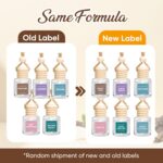 AROIC Car Air Freshener for Women, 6 Pack Air Freshener Diffuser, Mothers Day Gi... - Image 4