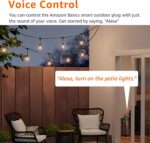 Amazon Basics Outdoor Smart Plug with 2 Individually Controlled Outlets, Works w... - Image 5