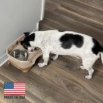 Neater Feeder Express Mess Proof Dog Bowls Elevated for Small Breeds under 15 Lb... - Image 6