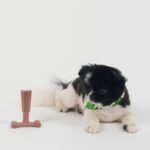 SPOT Bam-Bones Plus T Bone – Bamboo Fiber & Nylon Dog Chew Toy for Moderate to A... - Image 12