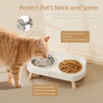 Elevated Cat Bowl, Raised Cat Food and Water Bowl Set for Indoor Cats, Splash Pr... - Image 4