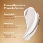 Luxury Anti Aging Face & Neck Cream | Face Moisturizer With Egyptian Barley, Gin... - Image 5