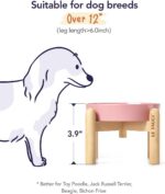 LE TAUCI Ceramic Slow Feed Dog Bowls, Elevated for Small Breeds, Anti-Gulping, N... - Image 6