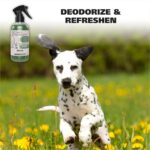 Wahl USA Deodorizing & Refreshing Pet Deodorant for Dogs - Eucalyptus & Spearmin... - Image 3