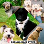 Wahl USA Deodorizing & Refreshing Pet Deodorant for Dogs - Eucalyptus & Spearmin... - Image 7