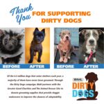 Wahl USA Deodorizing & Refreshing Pet Deodorant for Dogs - Eucalyptus & Spearmin... - Image 8