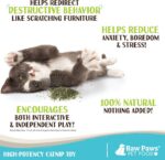 Raw Paws Fresh Catnip for Cats, 1-oz (2 Cups) - Use for Refillable Catnip Toys f... - Image 3