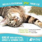 Raw Paws Fresh Catnip for Cats, 1-oz (2 Cups) - Use for Refillable Catnip Toys f... - Image 4