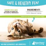 Raw Paws Fresh Catnip for Cats, 1-oz (2 Cups) - Use for Refillable Catnip Toys f... - Image 5