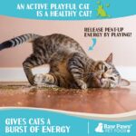 Raw Paws Fresh Catnip for Cats, 1-oz (2 Cups) - Use for Refillable Catnip Toys f... - Image 6