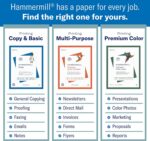 Hammermill Printer Paper, 20 lb Copy, 8.5 x 11-8 Ream (4,000 Sheets) - 92 Bright... - Image 4