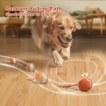 Interactive Dog Toys, Random Path Electric Automatic Moving and Rolling Dogs Toy... - Image 3
