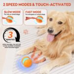 Interactive Dog Toys, Random Path Electric Automatic Moving and Rolling Dogs Toy... - Image 5