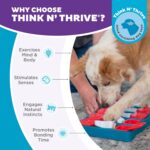 Outward Hound by Nina Ottosson Dog Brick – Interactive Treat Puzzle Enrichment T... - Image 7