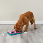 Outward Hound by Nina Ottosson Dog Brick – Interactive Treat Puzzle Enrichment T... - Image 9