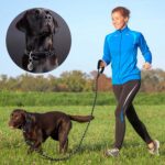 Ladoogo Reflective Dog Collar Padded with Soft Neoprene Breathable Adjustable Ny... - Image 5