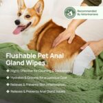 HICC PET Wipes for Dogs & Cats, Cleansing Deodorizing & Soothing Allergy Infecti... - Image 3