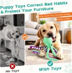 Fuufome Squeaky Plush Dog Toys, Soft Fabric Toys for Puppy, Small and Medium Dog... - Image 10