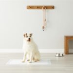 Amazon Basics Leak-Proof Dog and Puppy Potty Training Pee Pads with Quick-Dry 5-... - Image 7