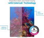 HP Printer Paper | 8.5 x 11 Paper | Copy &Print 20 lb | 1 Ream Case - 500 Sheets... - Image 6